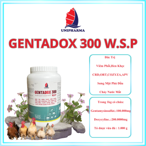 GENTADOX 300 W.S.P