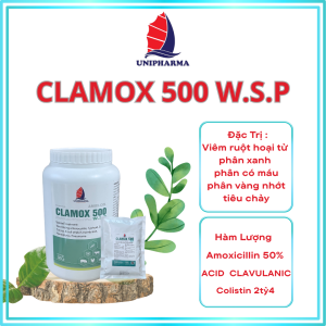 CLAMOX 500 W.S.P