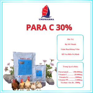 PARA C 30%