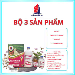 BỘ 3 SẢN PHẨM