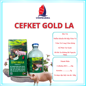 CEFKET GOLD LA