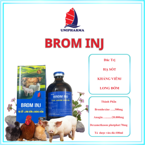 BROM IJN