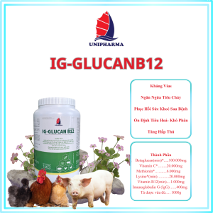 IG-GLUCANB12