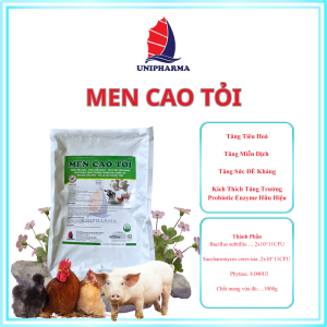Men Cao Tỏi