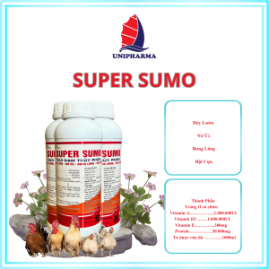 SUPER SUMO