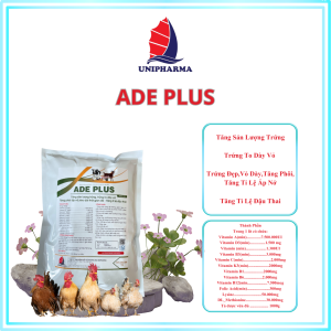 ADE PLUS