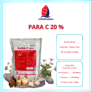 PARA C 20%